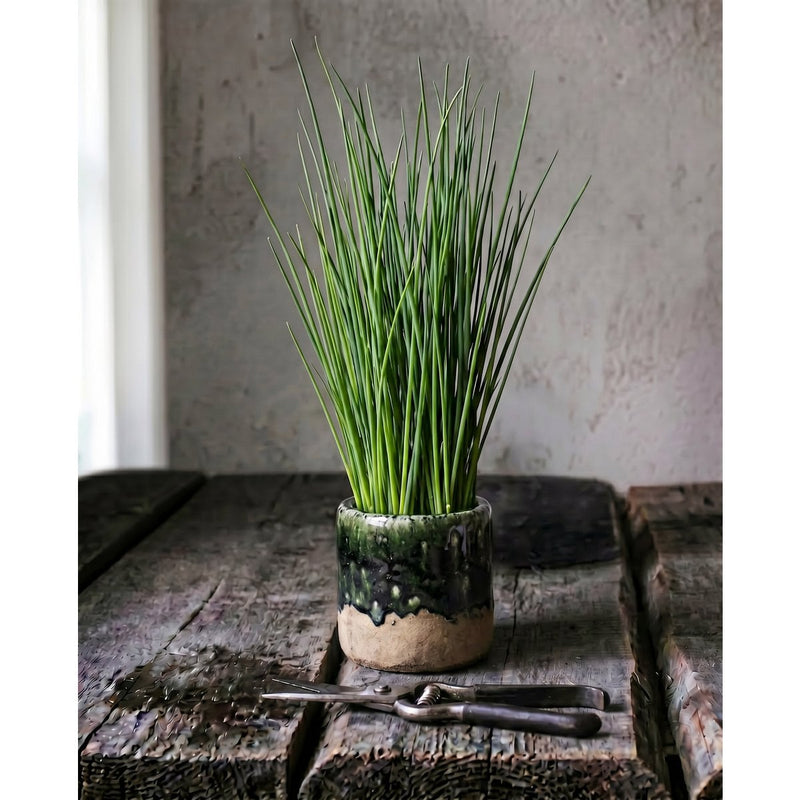 Übertopf The Moss – Detailaufnahme der Oberfläche