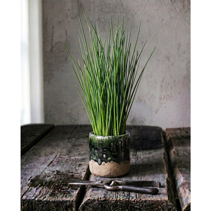 Übertopf The Moss – Detailaufnahme der Oberfläche